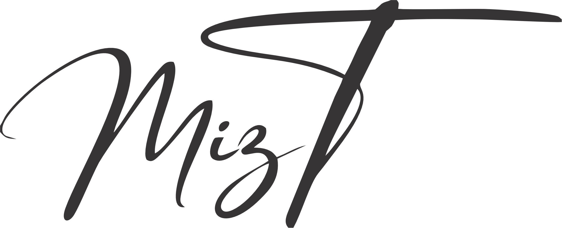 website logo